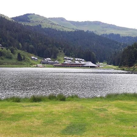 La Cabane Du Cerf A Payolle Campan Kültér fotó