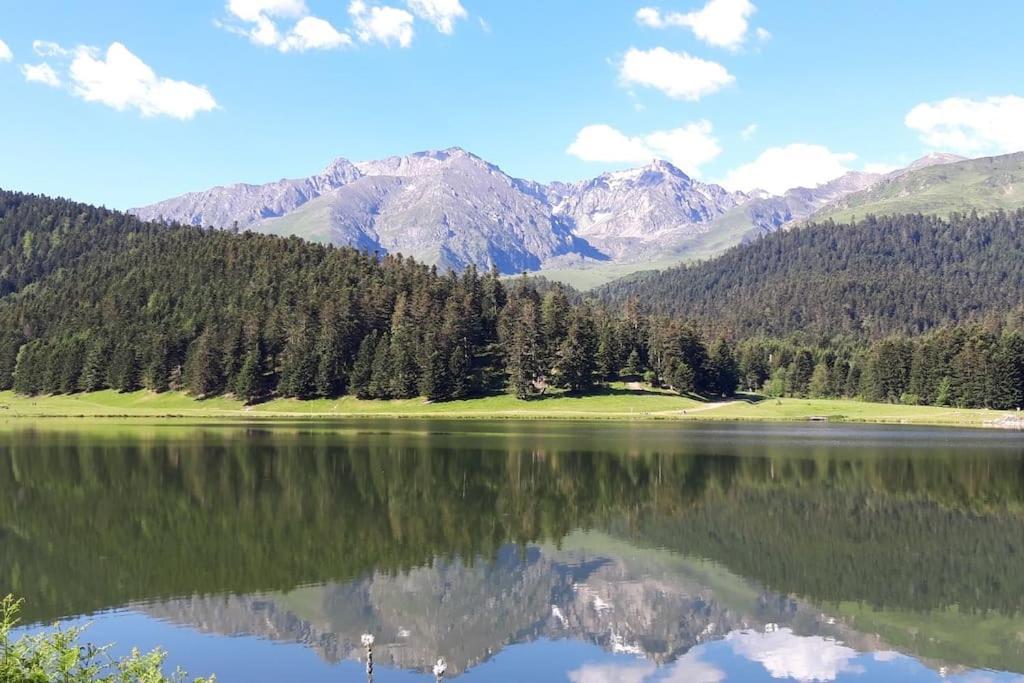La Cabane Du Cerf A Payolle Campan Kültér fotó