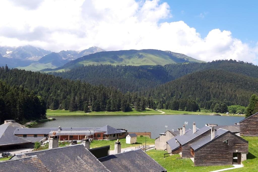 La Cabane Du Cerf A Payolle Campan Kültér fotó