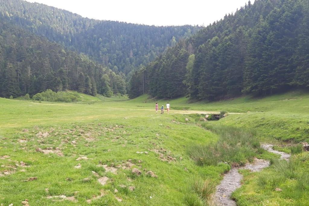 La Cabane Du Cerf A Payolle Campan Kültér fotó